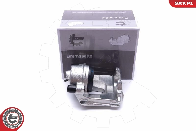 Brake Caliper 55SKV862