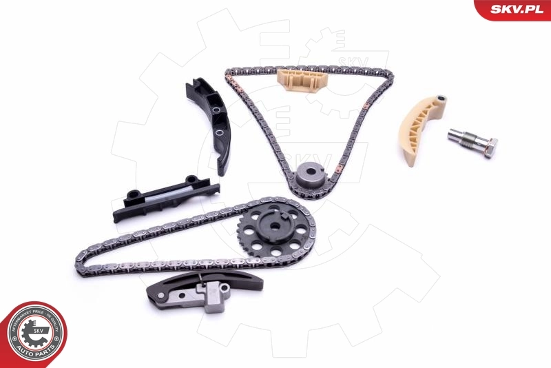 Timing Chain Kit 21SKV192