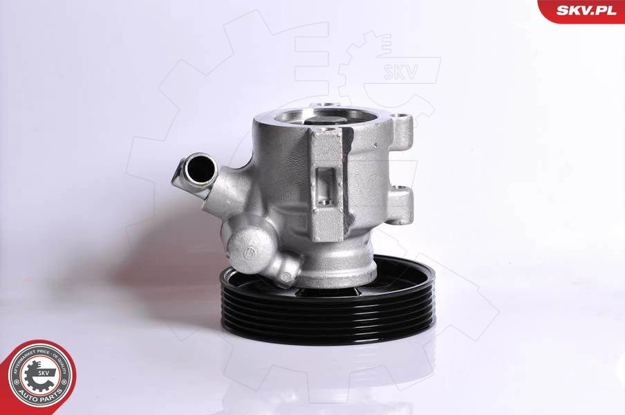 Hydraulic Pump, steering 10SKV138