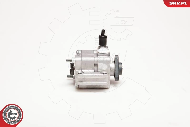 Hydraulic Pump, steering 10SKV109