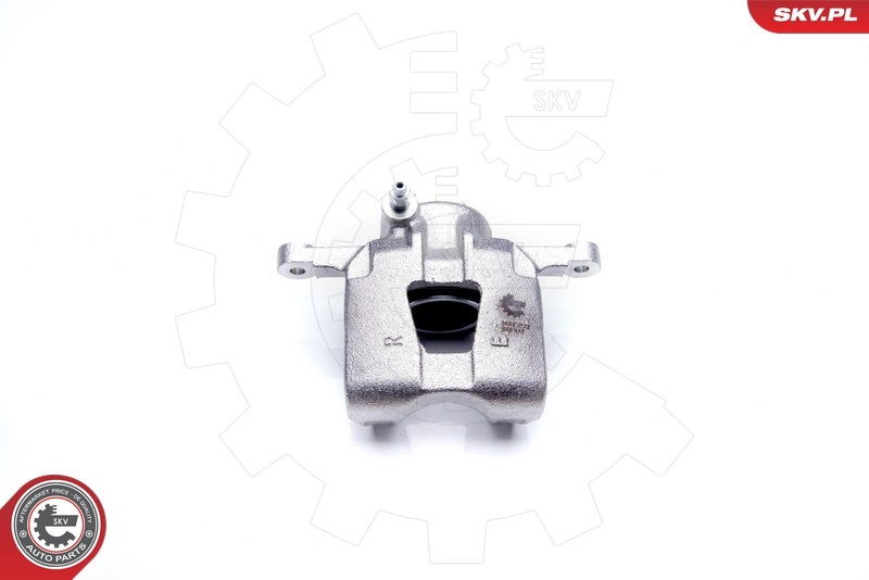 Brake Caliper 34SKV172