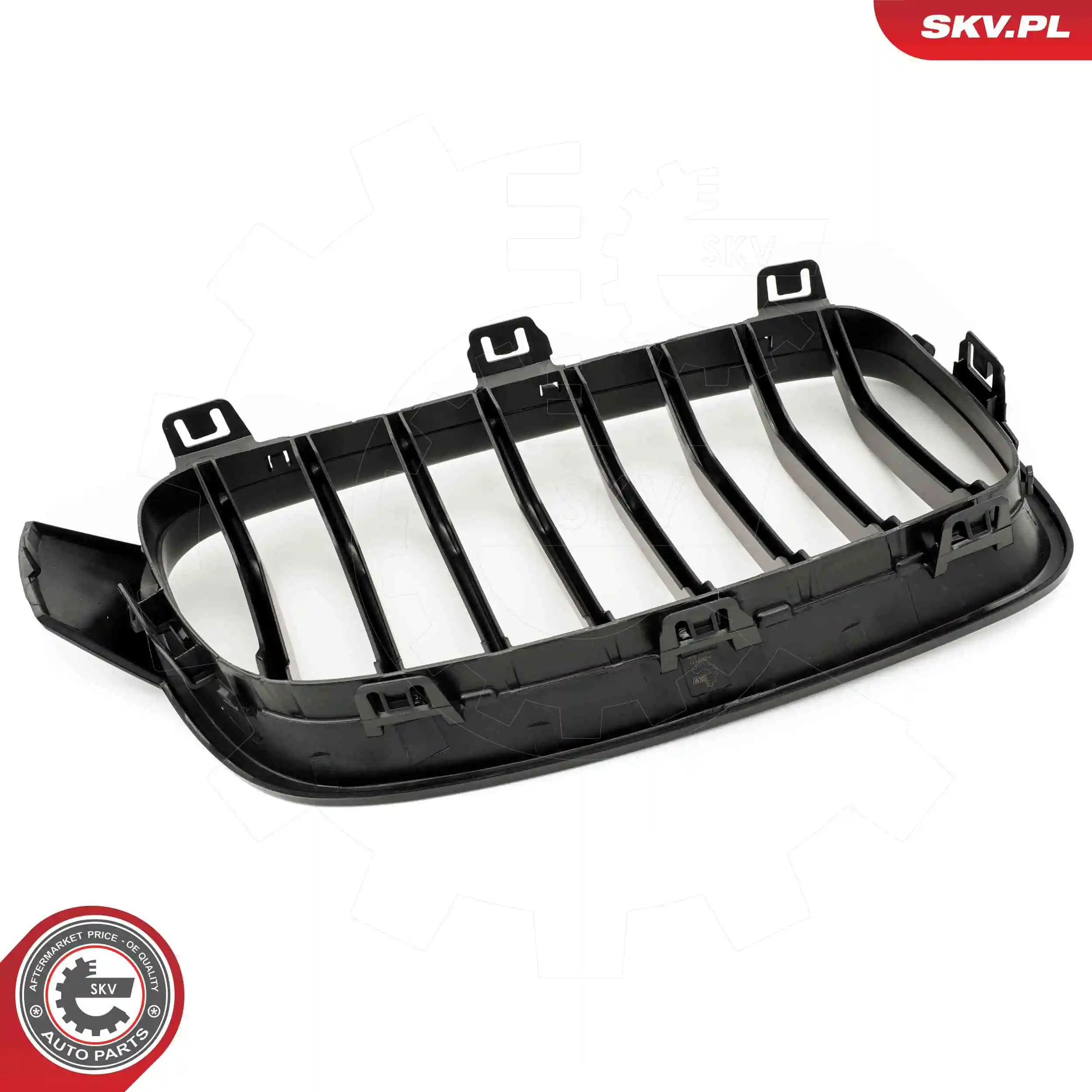 Radiator Grille 66SKV121