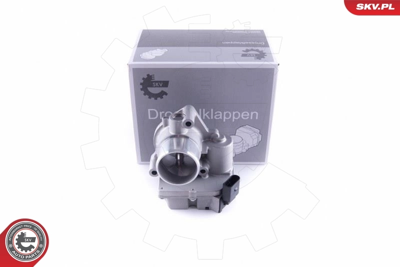 Throttle Body 12SKV090