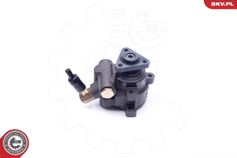 Hydraulic Pump, steering 10SKV253