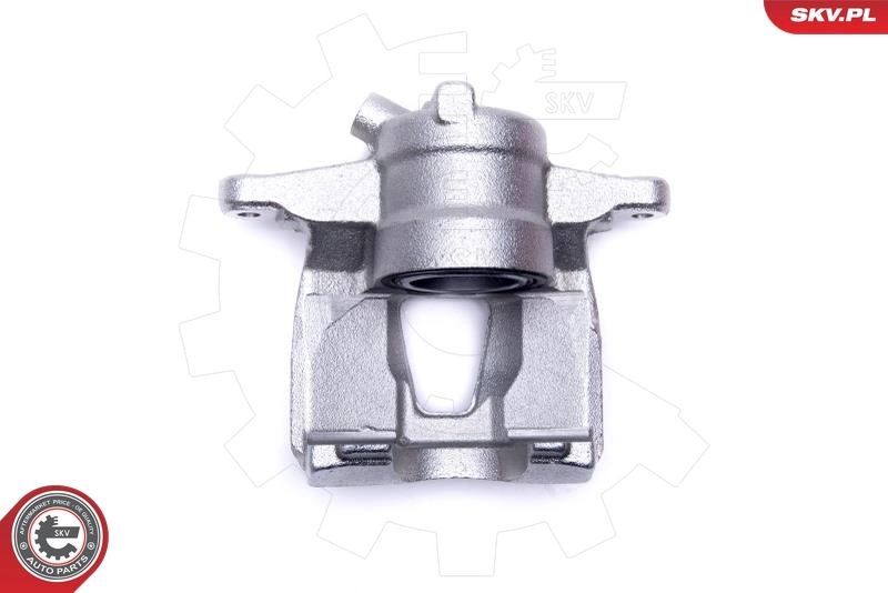 Brake Caliper 56SKV301