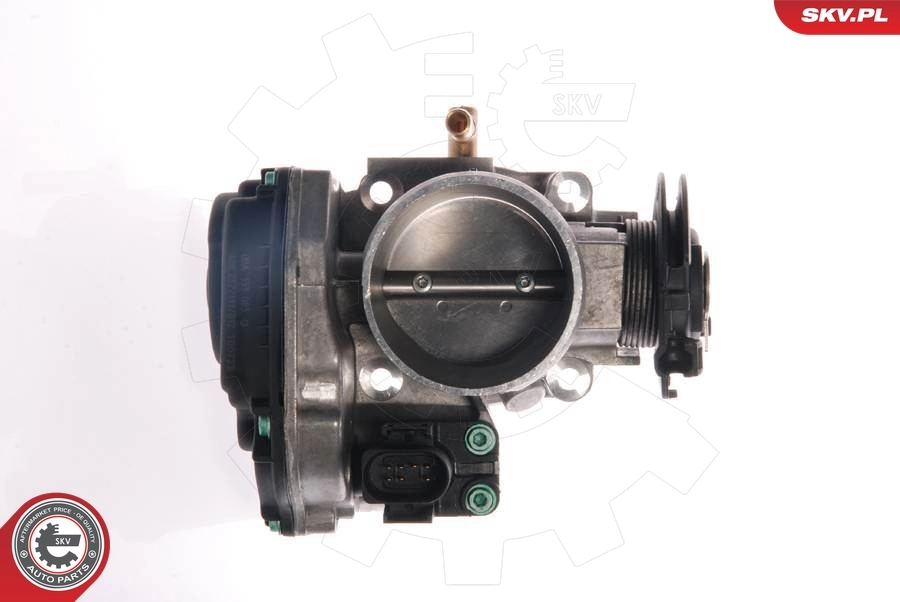Throttle Body 12SKV022