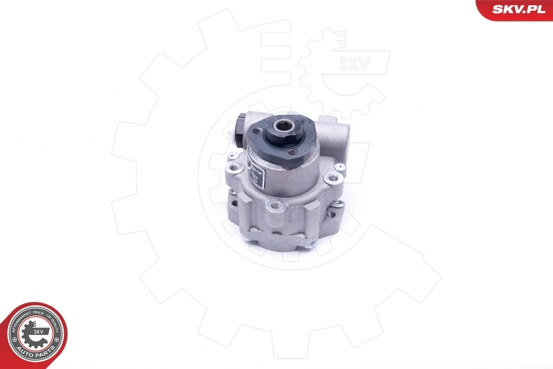 Hydraulic Pump, steering 10SKV172