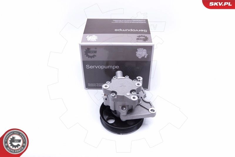 Hydraulic Pump, steering 10SKV271