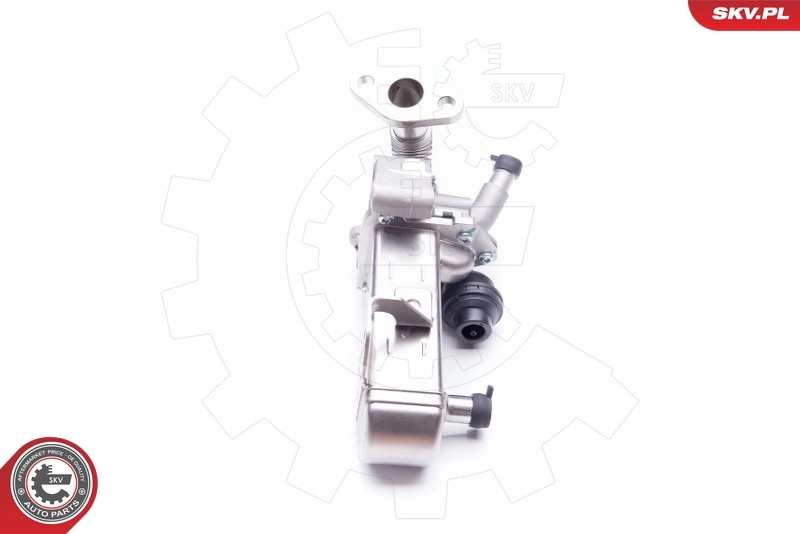 EGR Valve 14SKV135