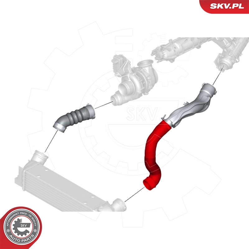 Charge Air Hose 24SKV521