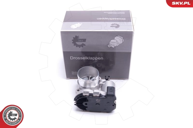 Throttle Body 12SKV111