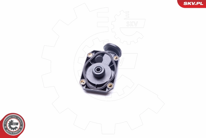Valve, crankcase ventilation 31SKV073