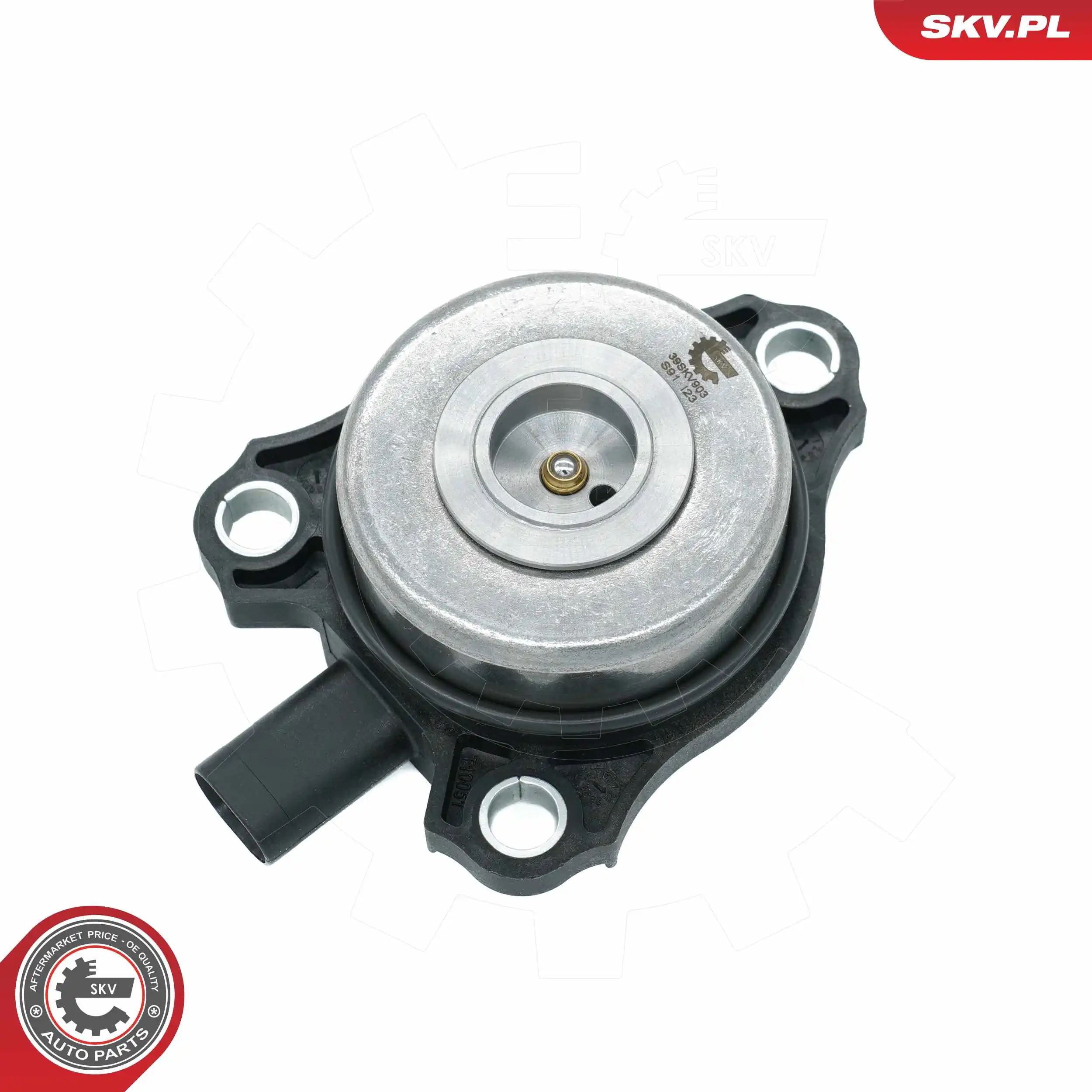 Central Magnet, camshaft adjustment 39SKV903