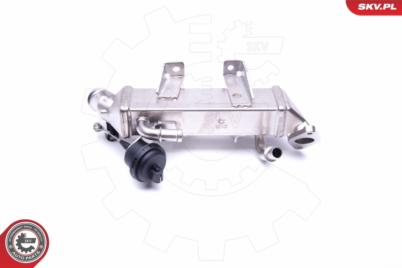 Cooler, exhaust gas recirculation 14SKV199