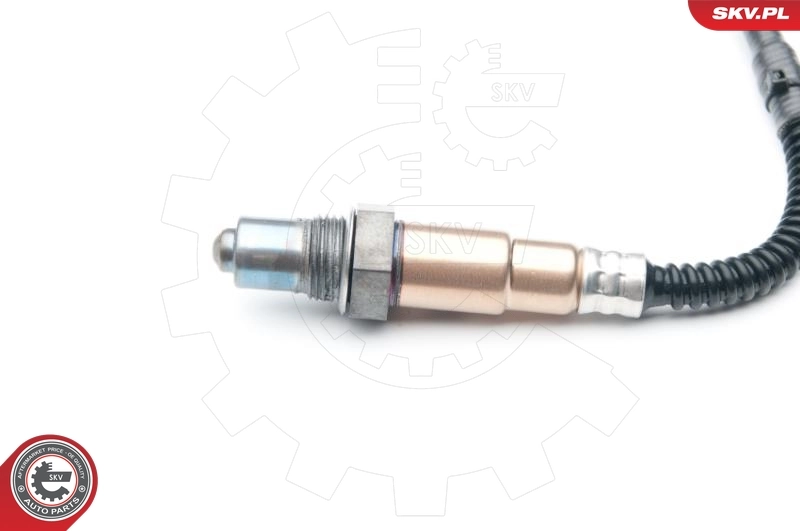 Oxygen Sensor 09SKV869