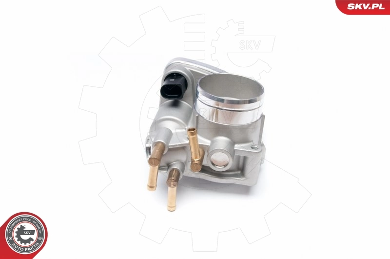 Throttle Body 12SKV047