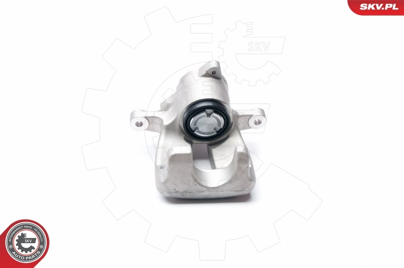 Brake Caliper 23SKV373