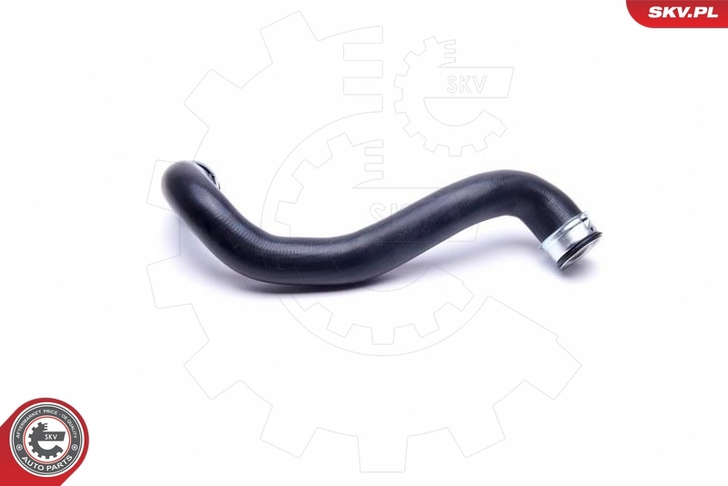 Radiator Hose 43SKV652