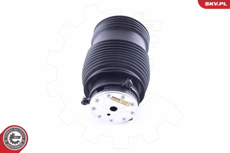 Air Spring, suspension 58SKV007