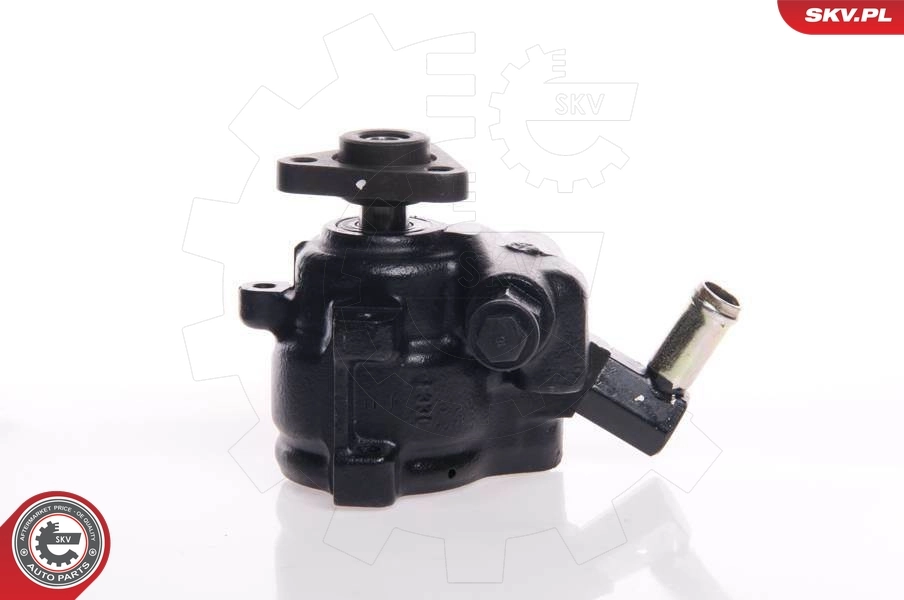 Hydraulic Pump, steering 10SKV144