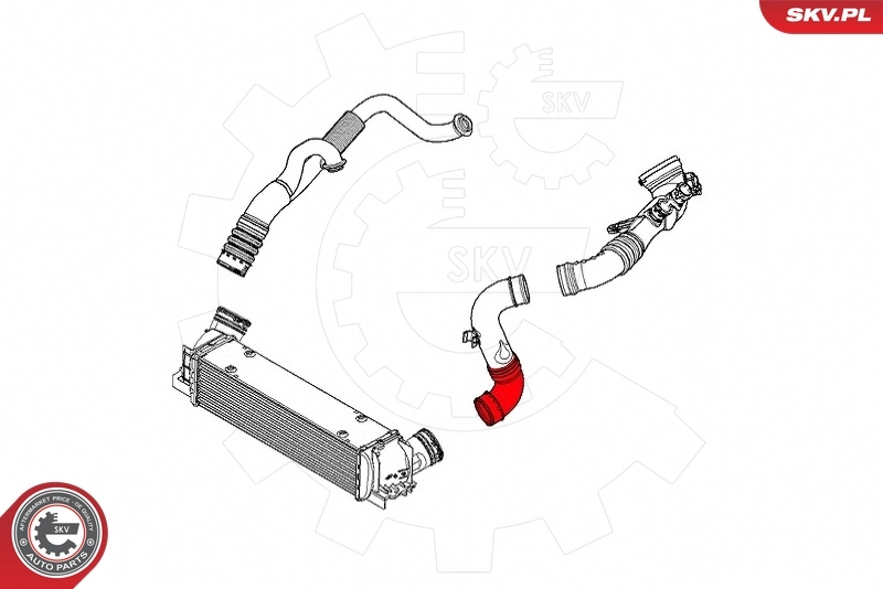 Tubo flexible de aire de sobrealimentación 43SKV303