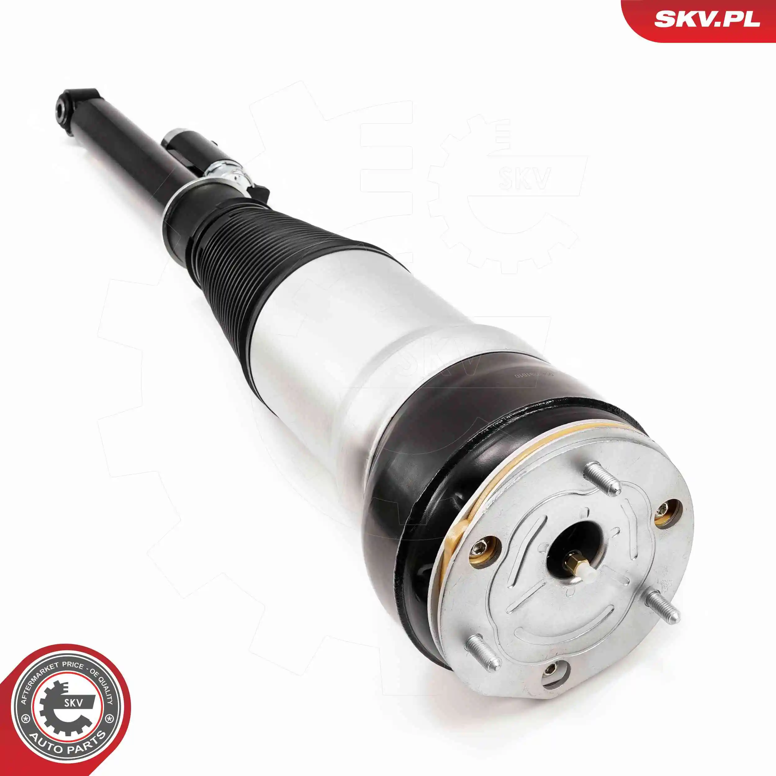 Air Suspension Strut 58SKV725