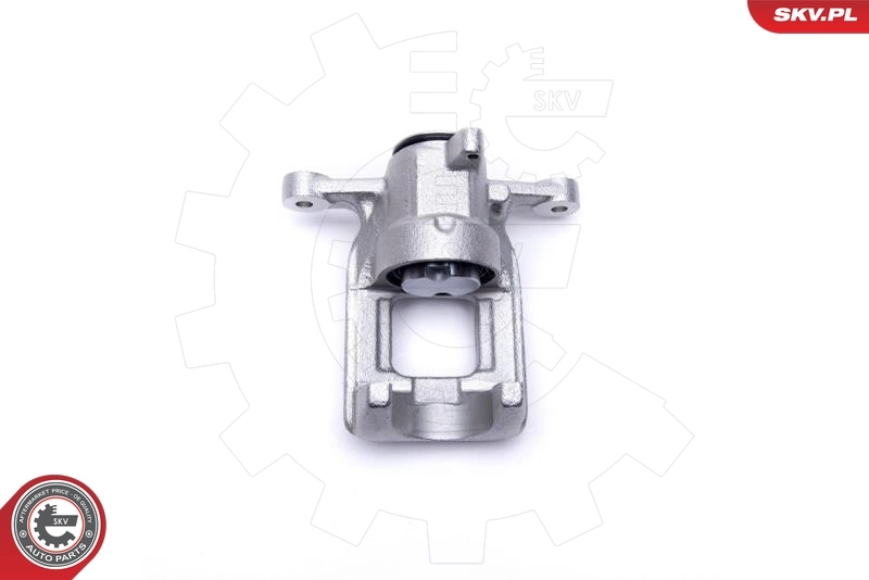 Brake Caliper 44SKV484