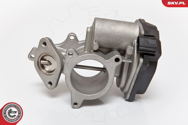 EGR Valve 14SKV083