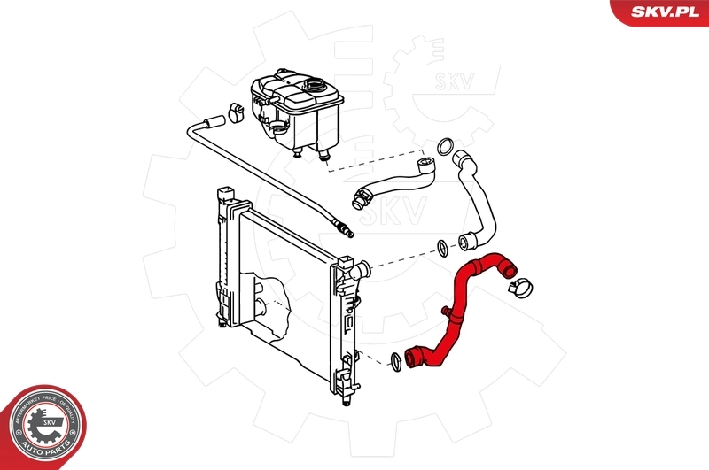Radiator Hose 24SKV292