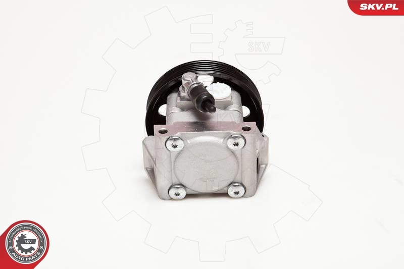 Hydraulic Pump, steering 10SKV001
