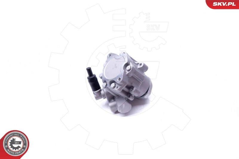 Hydraulic Pump, steering 10SKV282