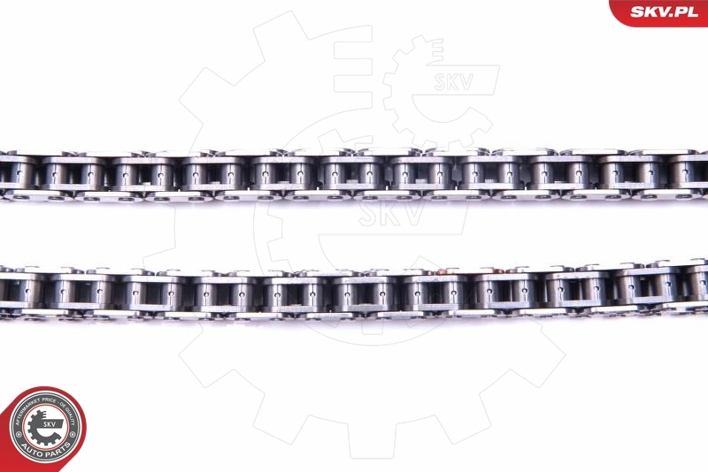 Timing Chain Kit 21SKV138