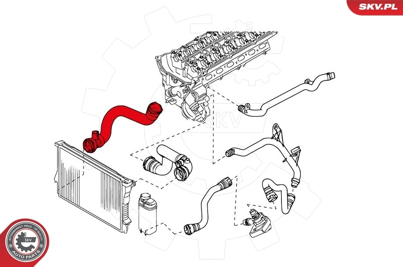 Kühlerschlauch 24SKV273