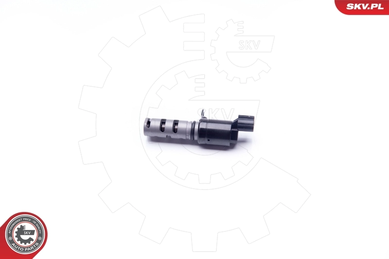 Control Valve, camshaft adjustment 39SKV022