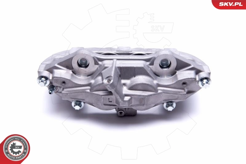 Brake Caliper 55SKV561