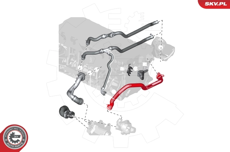 Radiator Hose 24SKV260