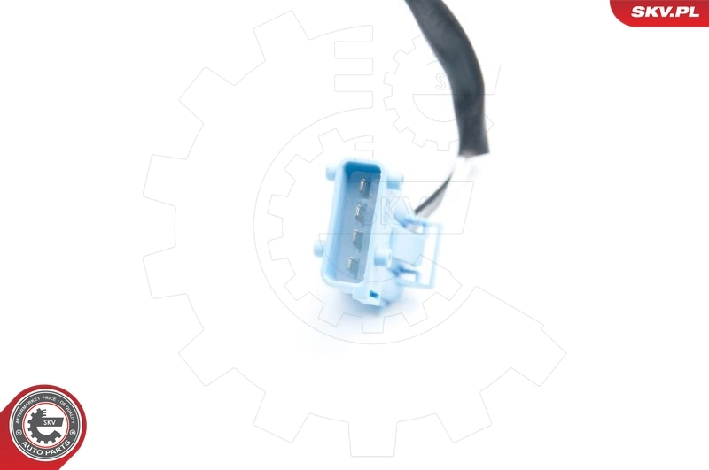 Oxygen Sensor 09SKV704