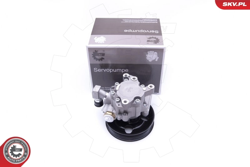 Hydraulic Pump, steering 10SKV192