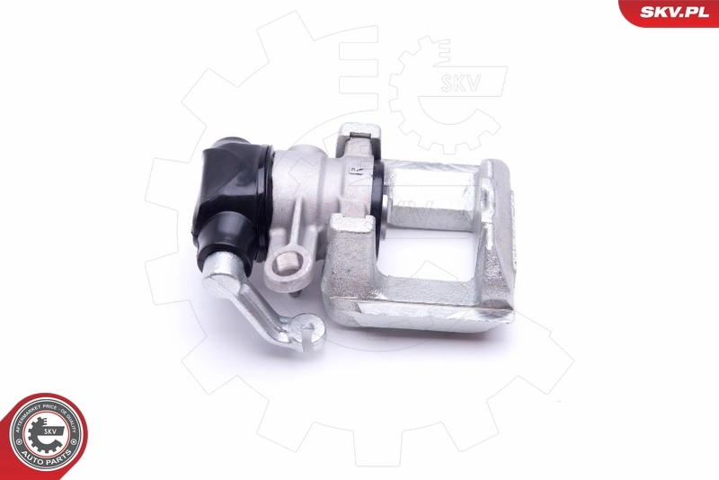 Brake Caliper 42SKV104