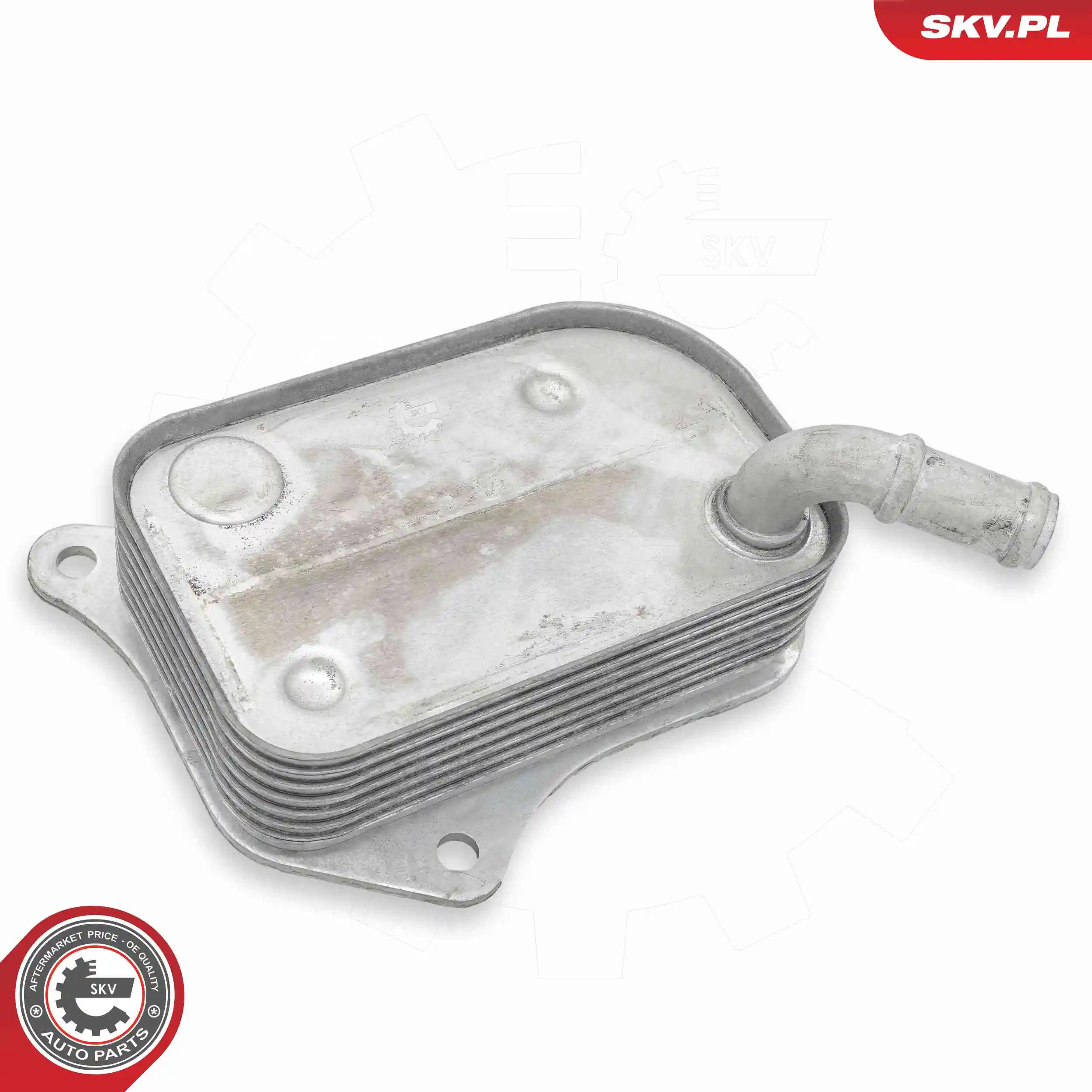Oil Cooler, engine oil 31SKV294
