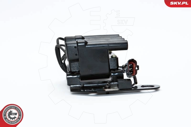 ESEN SKV 03SKV098 Ignition Coil