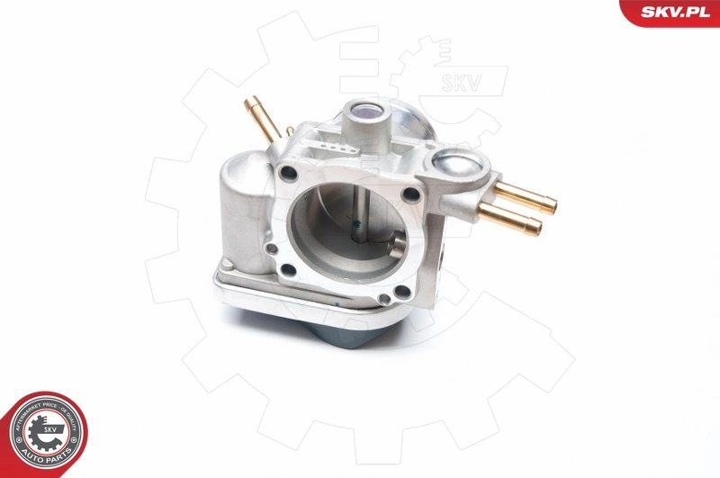 Throttle Body 12SKV048
