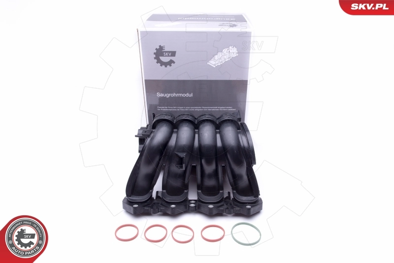 Intake Manifold Module 49SKV046