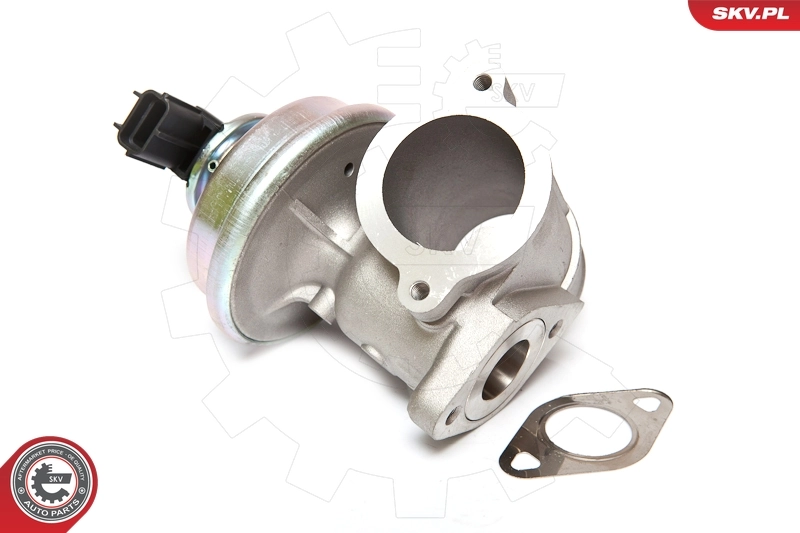 EGR Valve 14SKV061