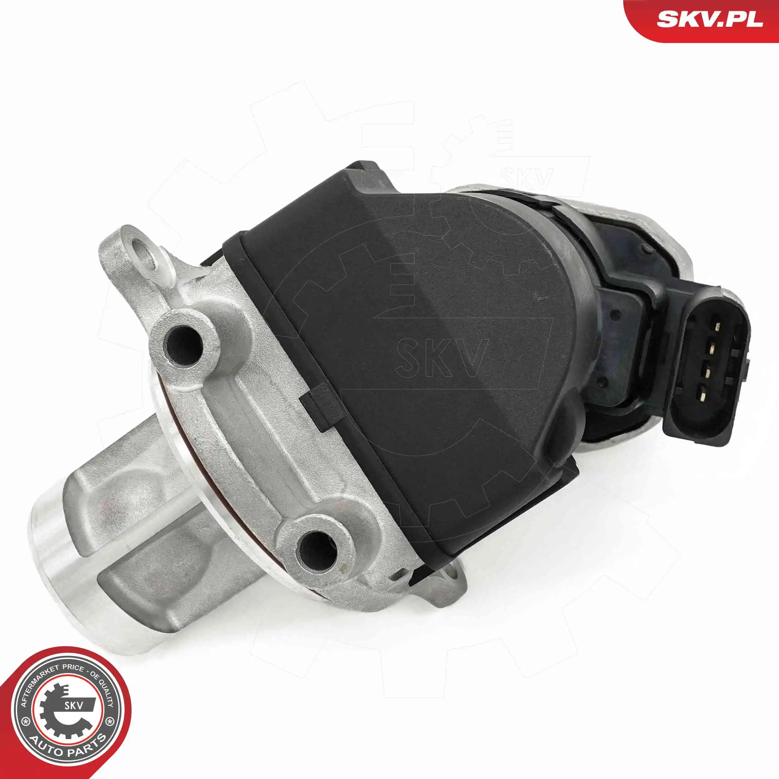 EGR Valve 14SKV272