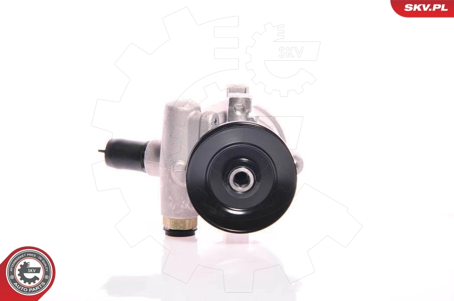 Hydraulic Pump, steering 10SKV118