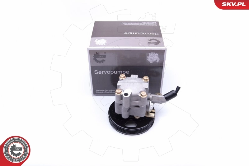 Hydraulic Pump, steering 10SKV276