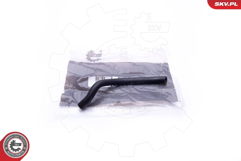 Hose, cylinder head cover ventilation 31SKV129