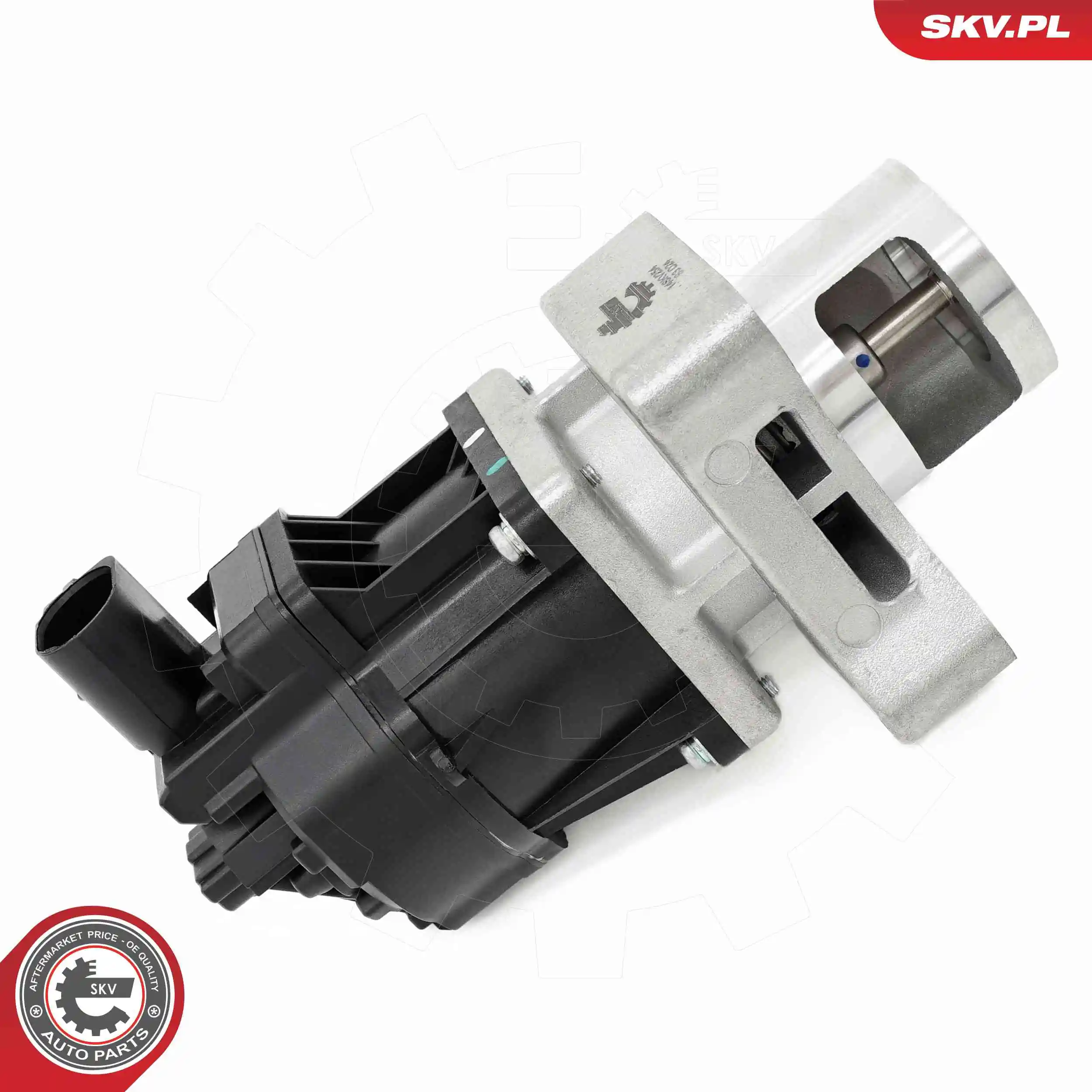 ESEN SKV 14SKV254 EGR Valve