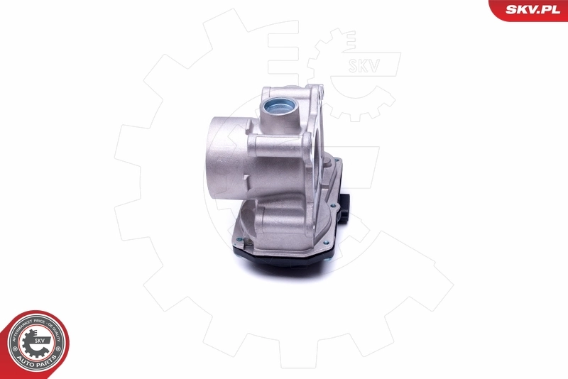 Throttle Body 12SKV076